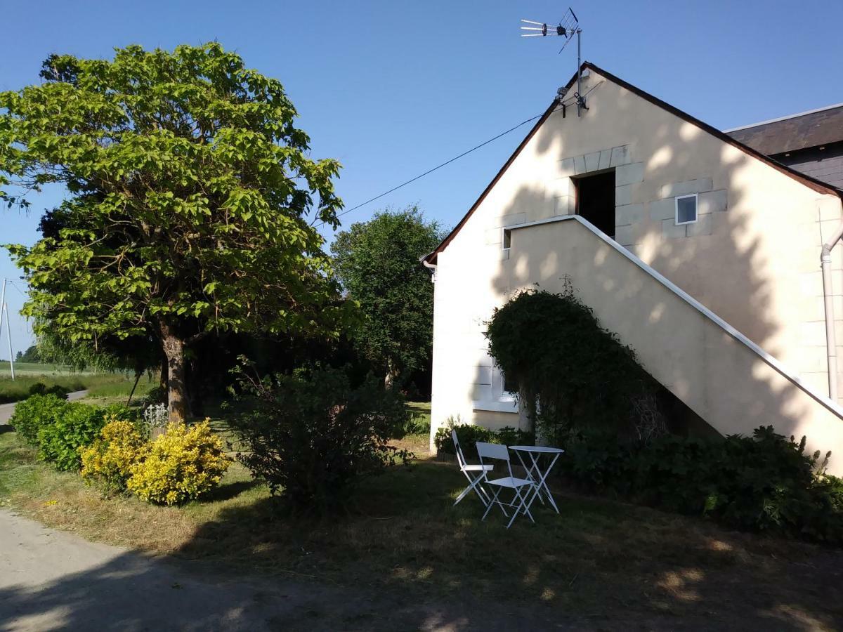 Les Hautes Mougonnieres Neuil Exteriör bild